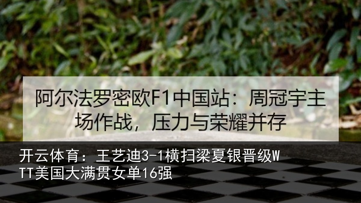 开云体育：王艺相关情况WTT美国大满贯女单16强
