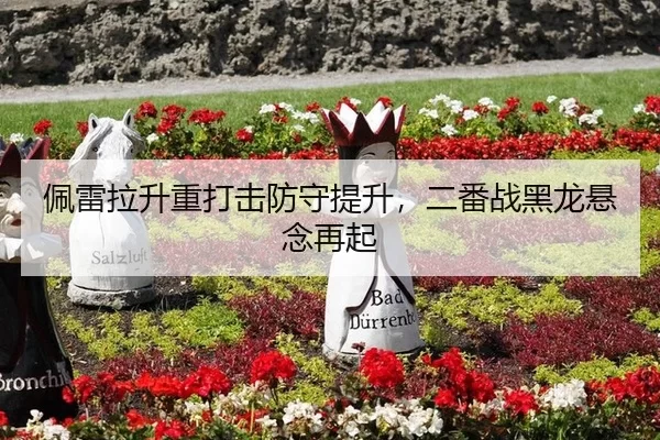 佩雷拉升重打击防守提升，二番战黑龙悬念再起